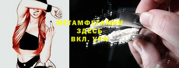 индика Вязники