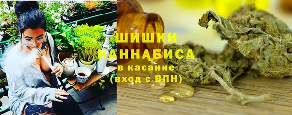 ПСИЛОЦИБИНОВЫЕ ГРИБЫ Вяземский