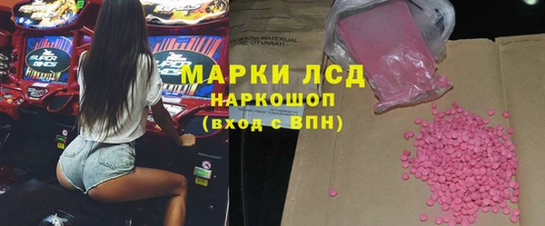 прущие грибы Верхний Тагил