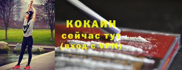 ПСИЛОЦИБИНОВЫЕ ГРИБЫ Вяземский